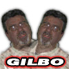 Gilbo